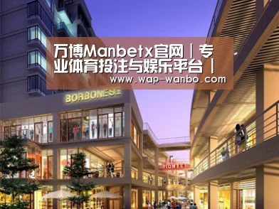 案例展示一(图1)
