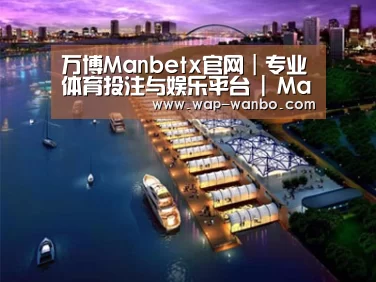 案例展示八