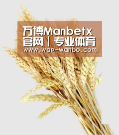 万博Manbetx官网｜专业体育投注与娱乐平台 | Manbetx